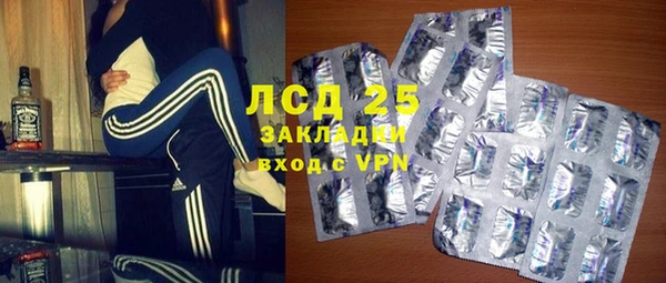 ГАЛЛЮЦИНОГЕННЫЕ ГРИБЫ Магас